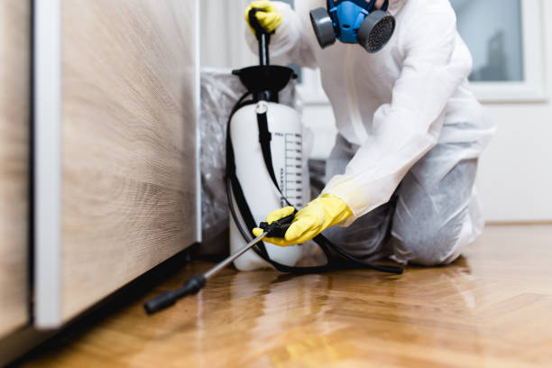 Pest Control for Restaurants in Pittsburg, TX